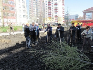 Деревьев стало больше!