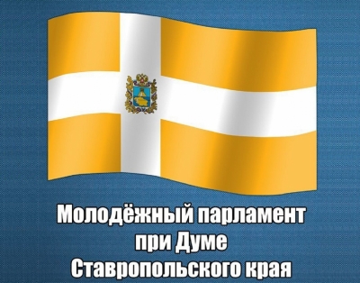 Молодежный парламент перешел в онлайн