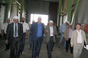 ПОПАСТЬ В ЯБЛОЧКО!