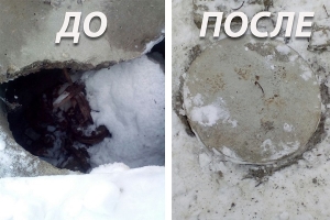 Игорь Николаев оперативно решил обращение железноводчанки
