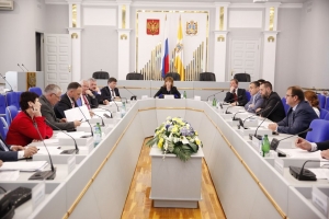 Депутаты рассмотрели законопроект об изменении статуса Минераловодского района Ставропольского края