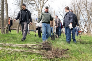 Плюс 300 деревьев!