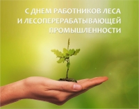 19 сентября &ndash; День работников леса и лесоперерабатывающей промышленности