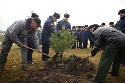 Дерево от парламентария