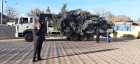 Николай Роев подарил новогоднюю елку жителям села Новоблагодарное