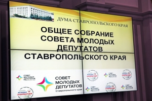 Молодые депутаты обсуждали перспективы цифровой экономики