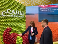 Ольга Дроздова представила инвестиционный потенциал края председателю комитета Госдумы России