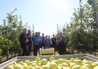 Комитет краевой Думы посвятил акцию по сбору яблок 30-летию Думы Ставрополья
