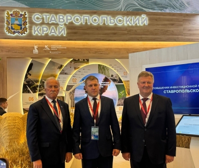 Каким быть нашим курортам?