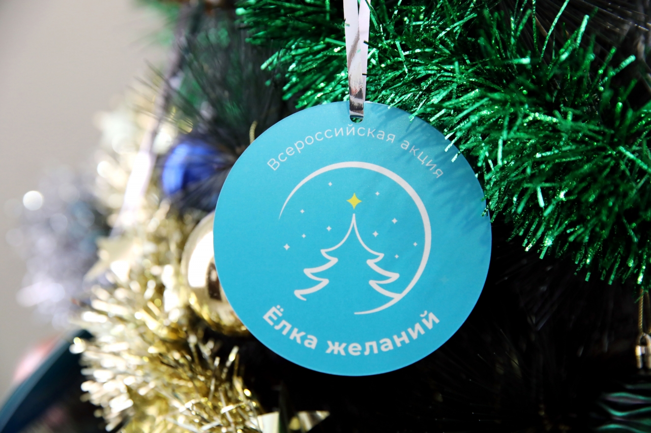 Новогодняя Край