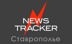 Депутаты Думы Ставрополья работают на конференции ЮРПА в Севастополе