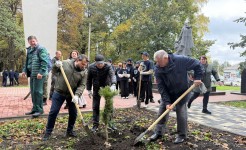 Депутаты Думы края приняли участие во Всероссийской акции «Сохраним лес»