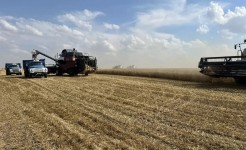 Председатель профильного комитета краевой Думы ознакомился с ходом уборки