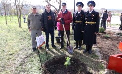 Николай Великдань посадил тополь Победы в рамках международной акции