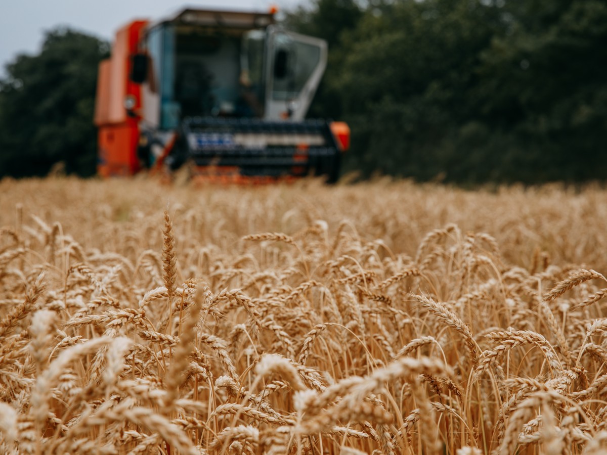 На Ставрополье расширили возможности использования земель для обучения специалистов аграрного сектора
