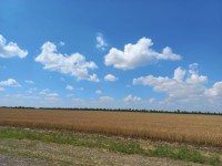 Арендаторам неразграниченных земель не будут начислять пени за просрочку оплаченных платежей по старым реквизитам