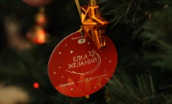 Депутаты краевой Думы исполняют детские мечты с «Елки желаний»