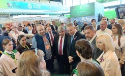 Николай Великдань: Ставрополье – один из лидеров суперинтенсивного садоводства в России