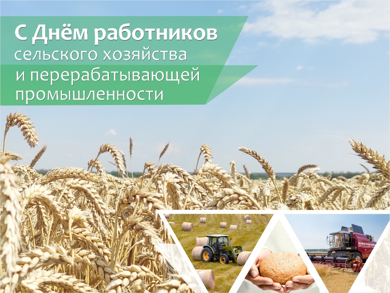 Фото Поздравления С Днем Сельского Хозяйства