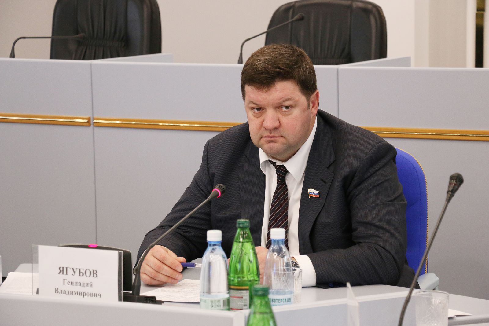 России нужны профессиональные политики