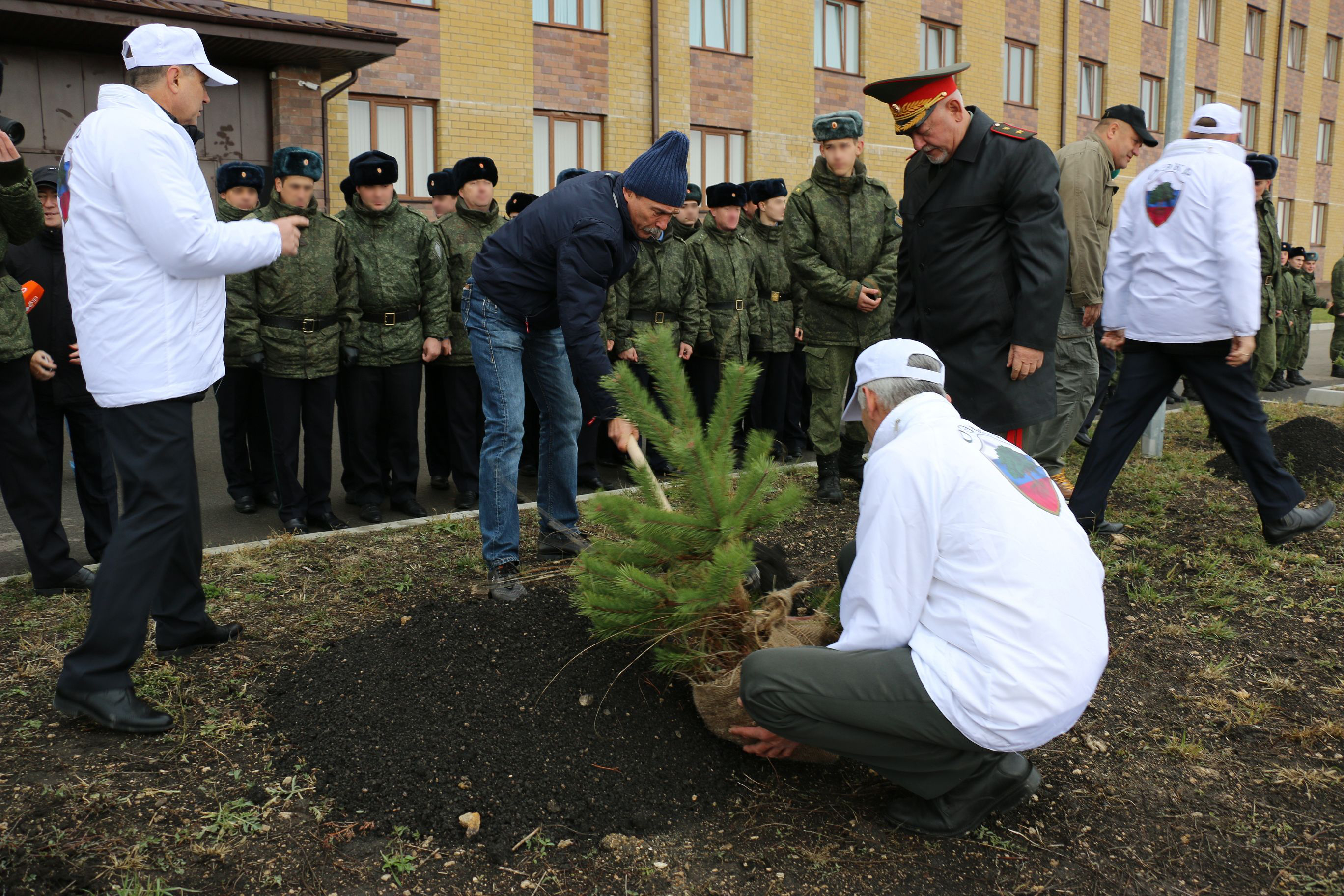 Деревья от парламентариев
