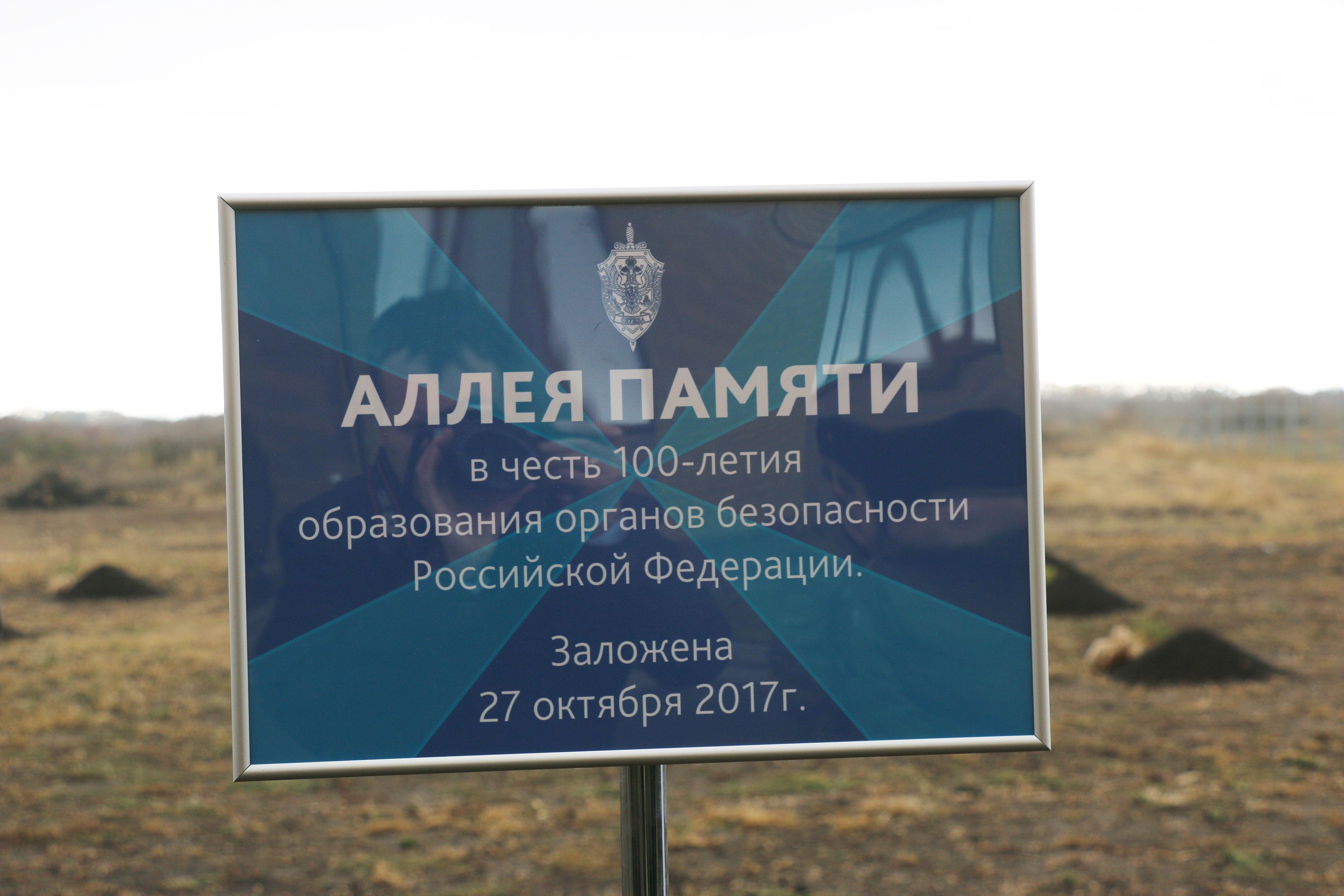 Деревья от парламентариев