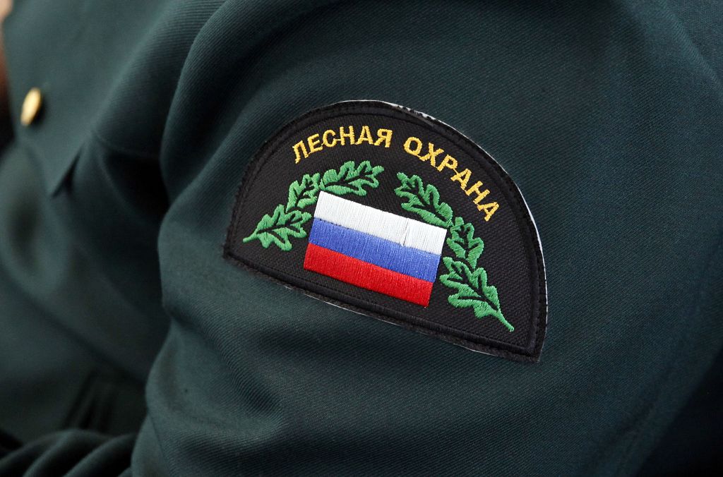 Защита лесов Ставрополья от пожаров