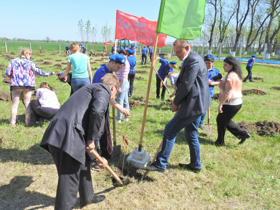 Стартовала акция «Посади дерево Победы!»