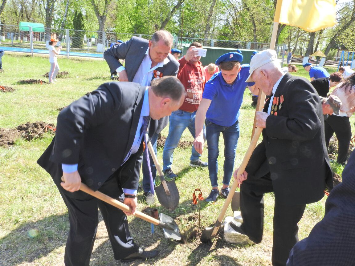 Стартовала акция «Посади дерево Победы!»