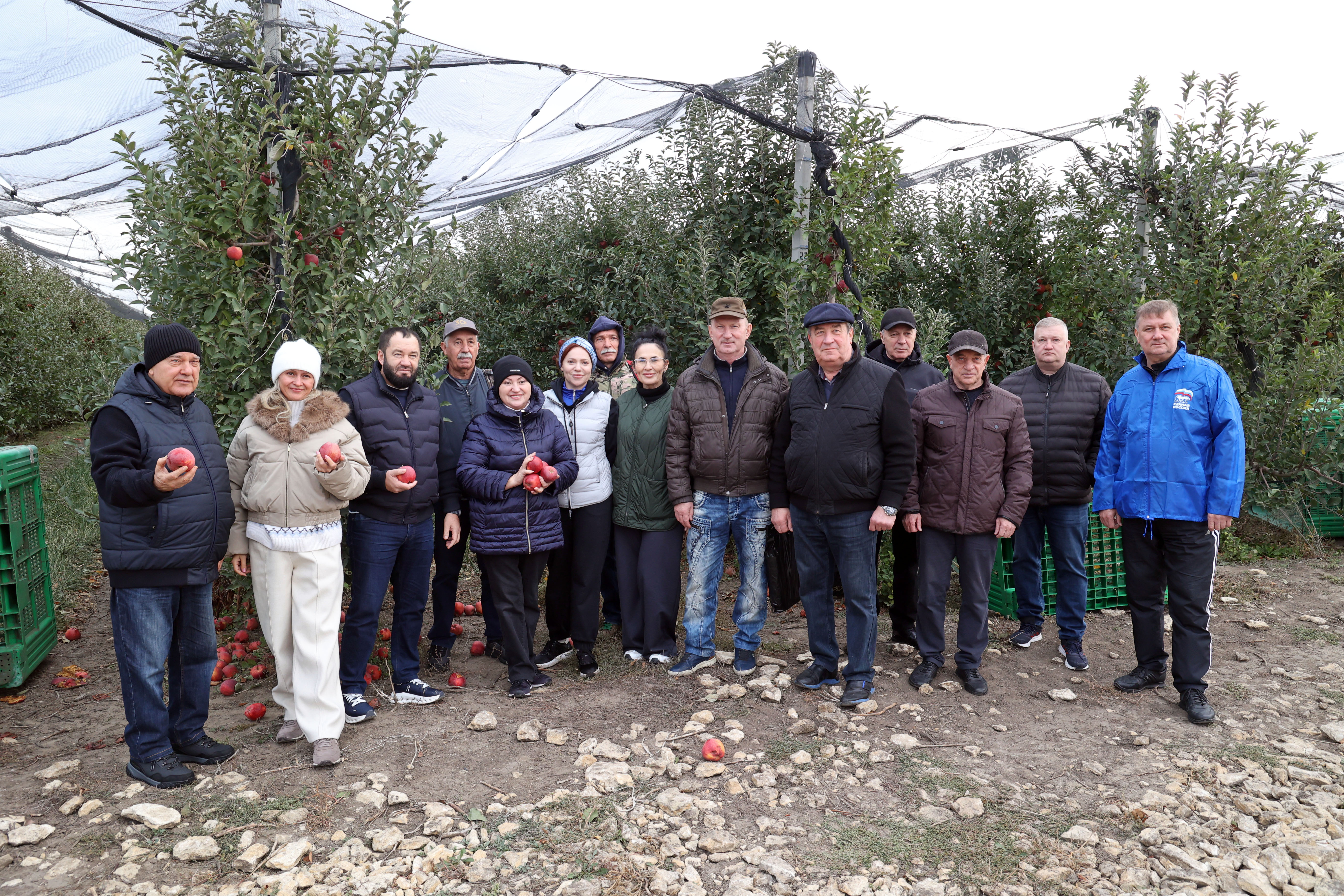 Депутаты Думы собрали 10 тонн яблок в садах Труновского округа