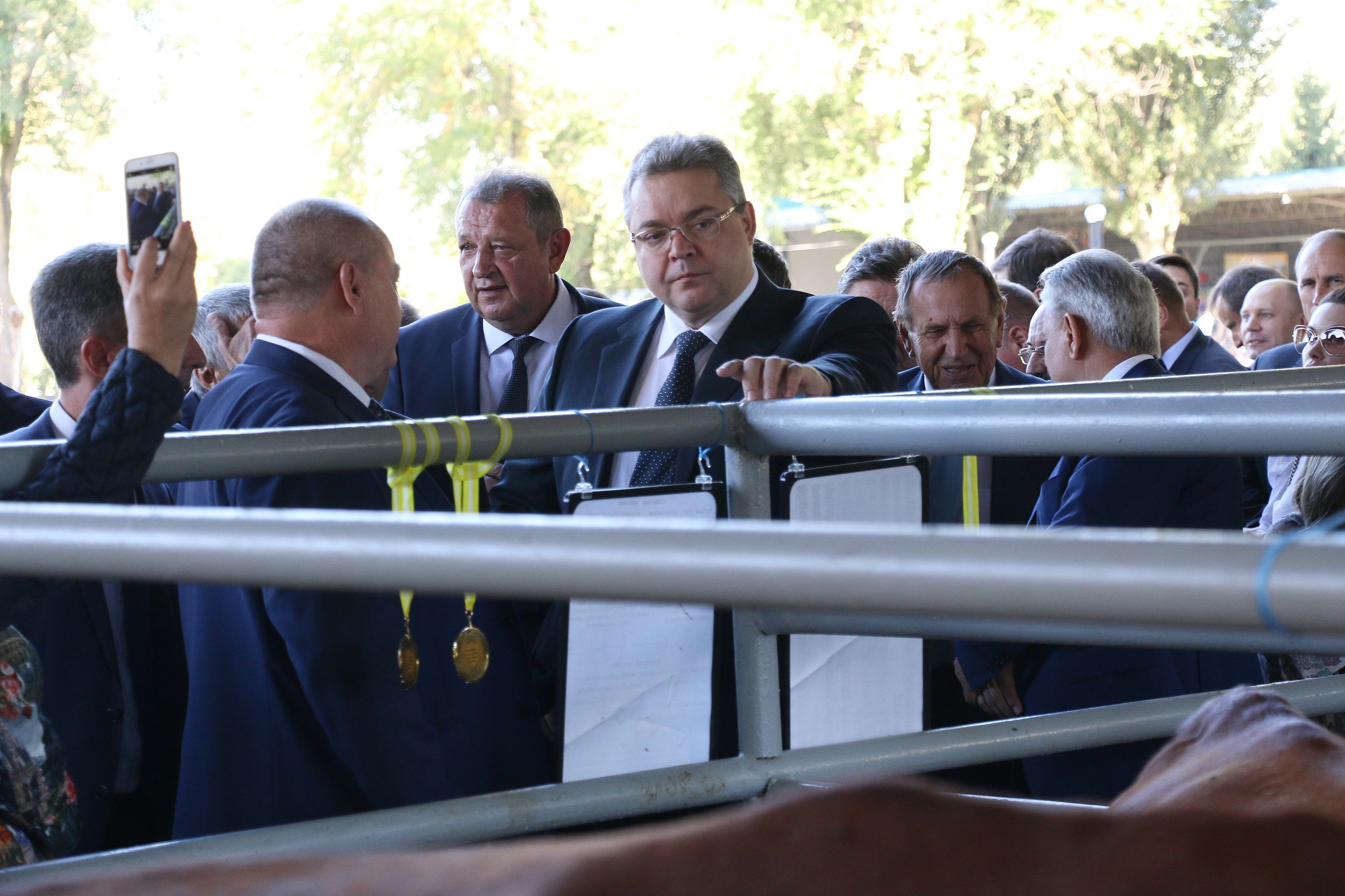 В Михайловске прошла выставка племенных животных и птиц