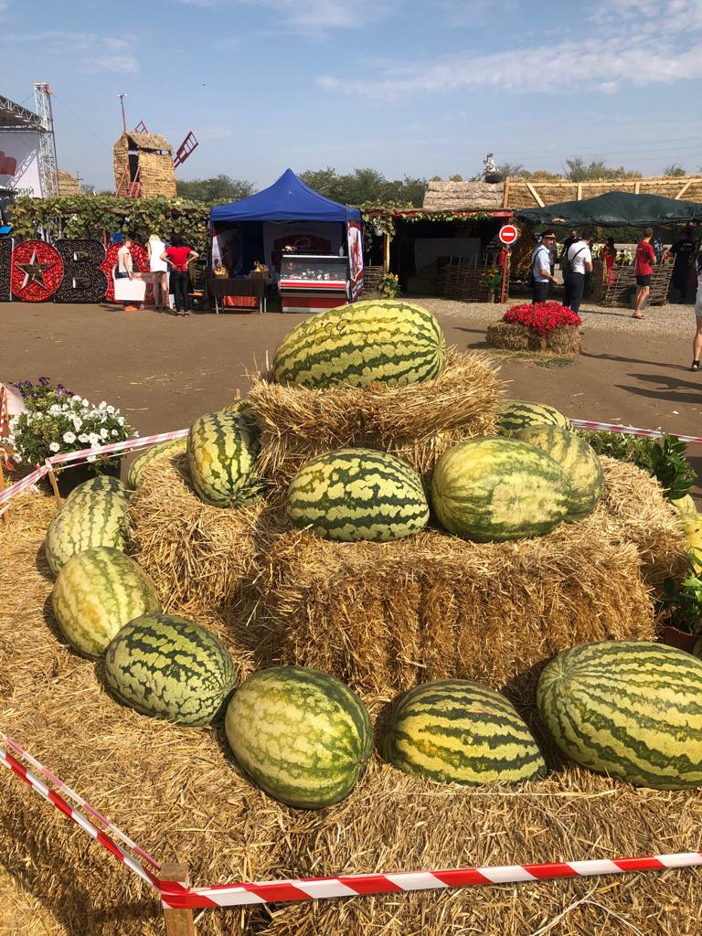 На Ставрополье прошел первый Всероссийский семинар по бахчевым культурам