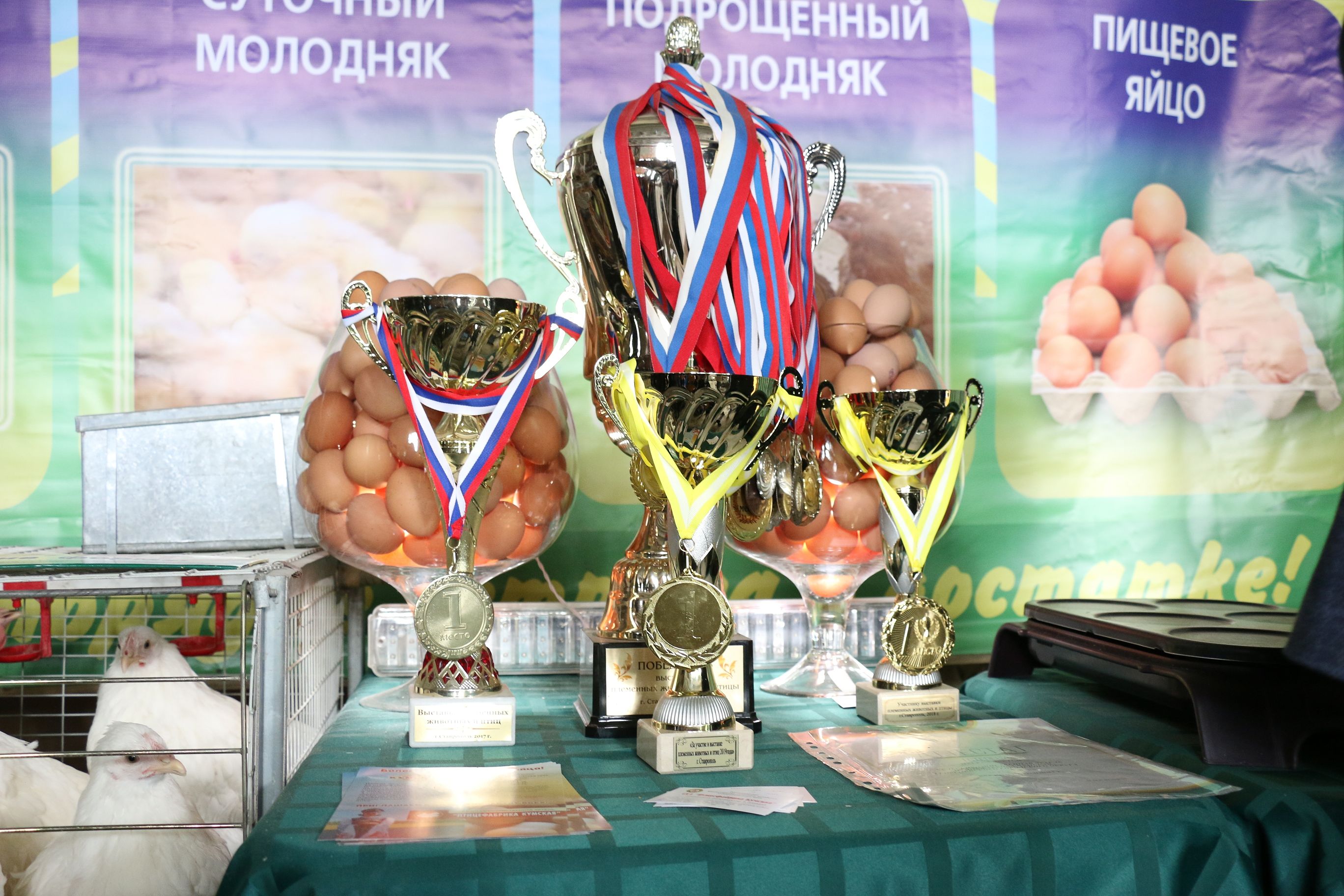 День урожая отметили на Ставрополье