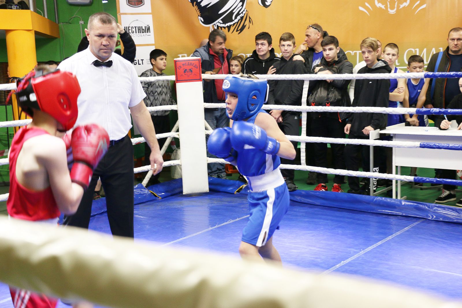 Мужской вид спорта