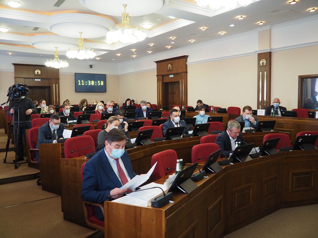 В Думе края состоялось заседание рабочей группы по решению проблемы бездомных животных