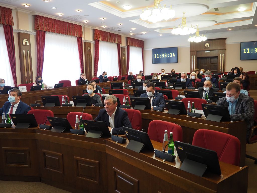 В Думе края состоялось заседание рабочей группы по решению проблемы бездомных животных
