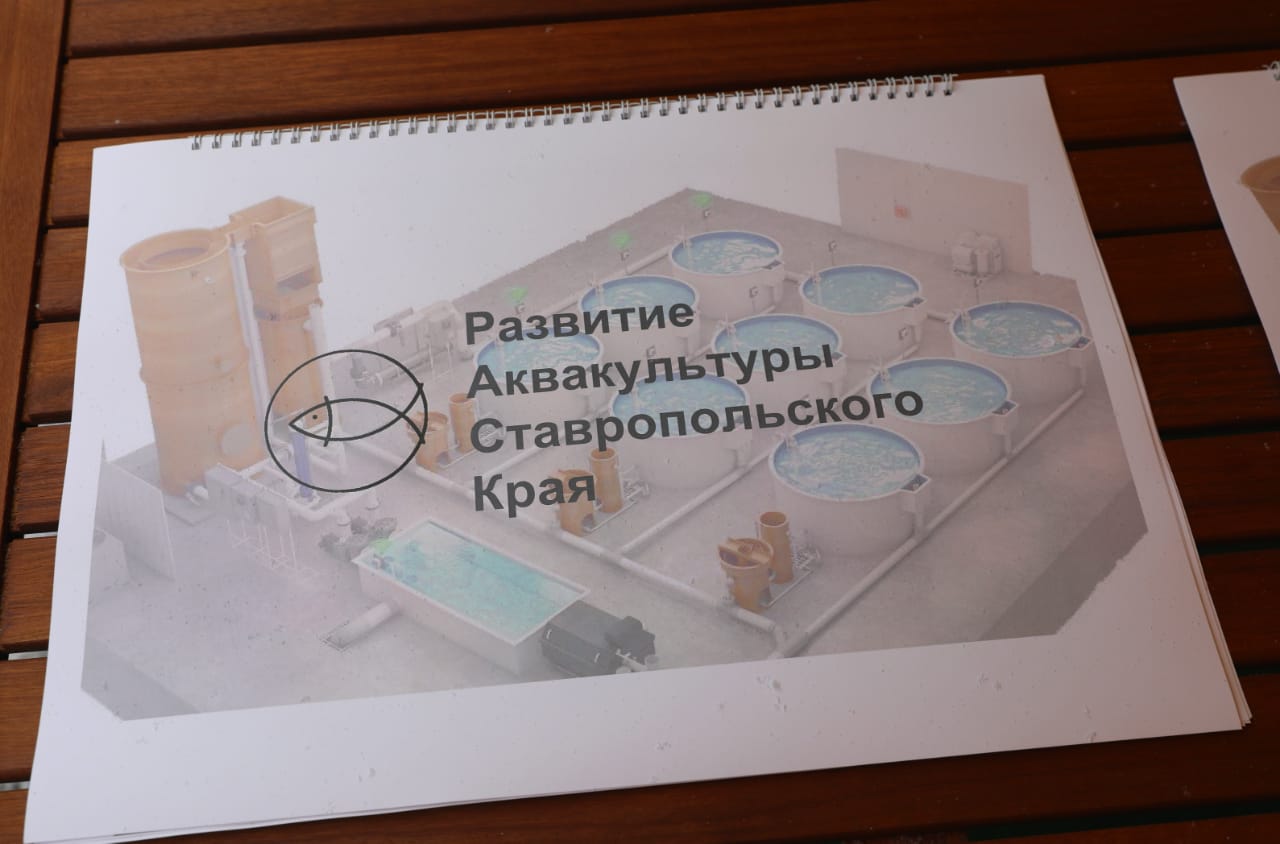 Краевые законодатели поддерживают создание на Ставрополье предприятия по выращиванию морской форели