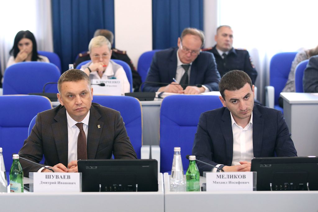 Безопасность детей на дорогах в летний период обсудили в краевой Думе