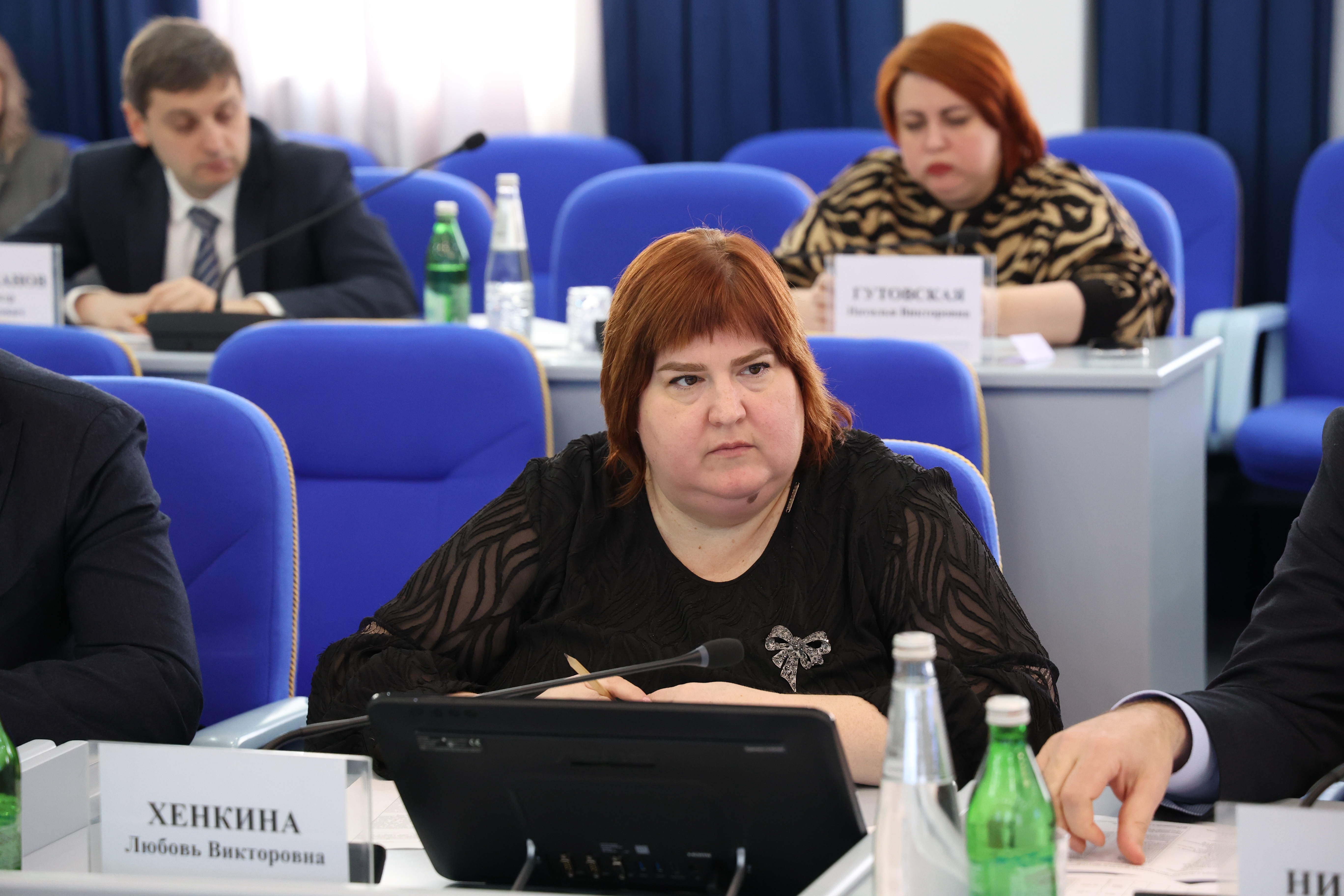 В Думе продолжается работа по уточнению наказов избирателей