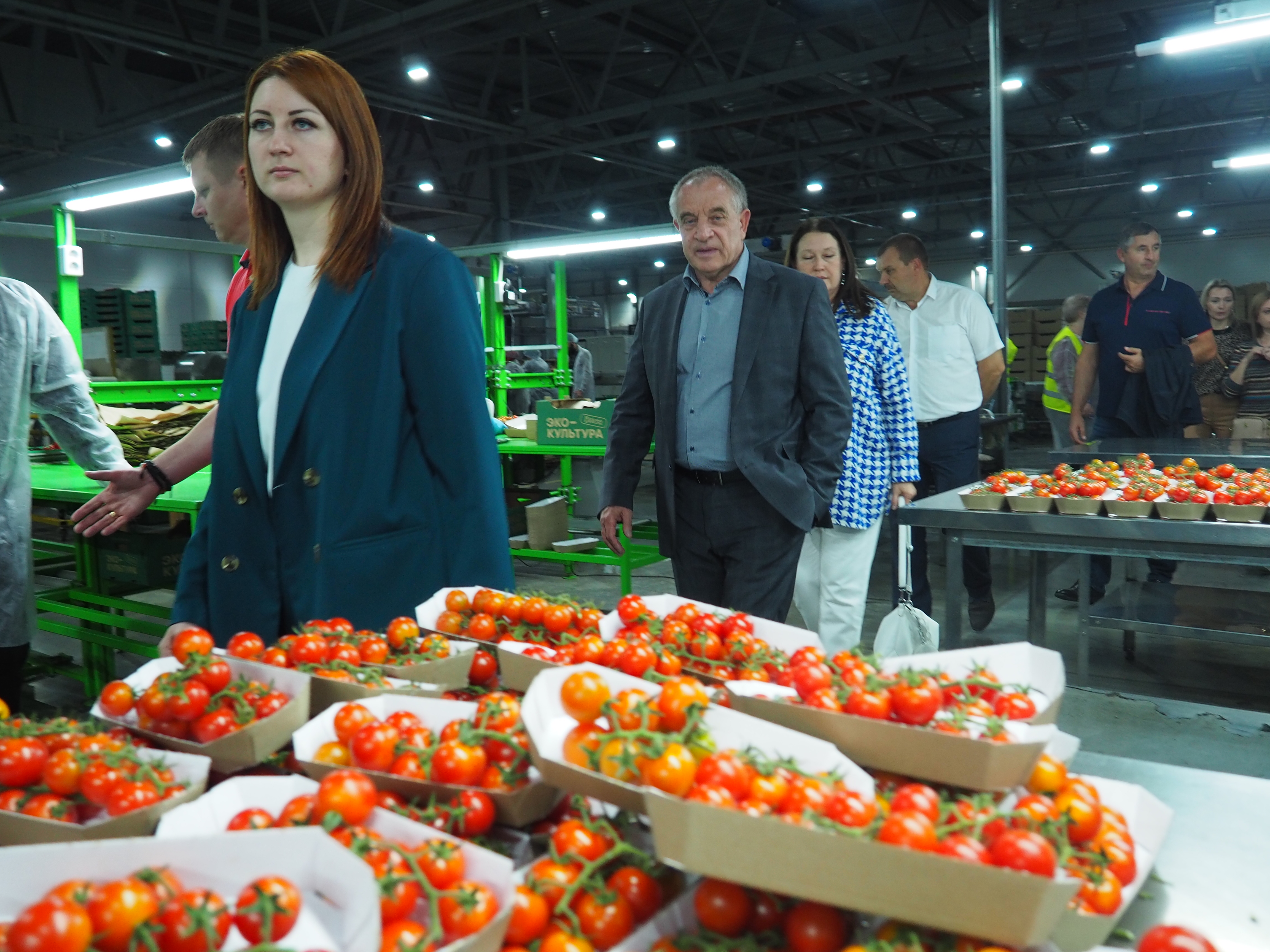Депутаты назвали индустриальные парки эффективным механизмом для привлечения инвестиций