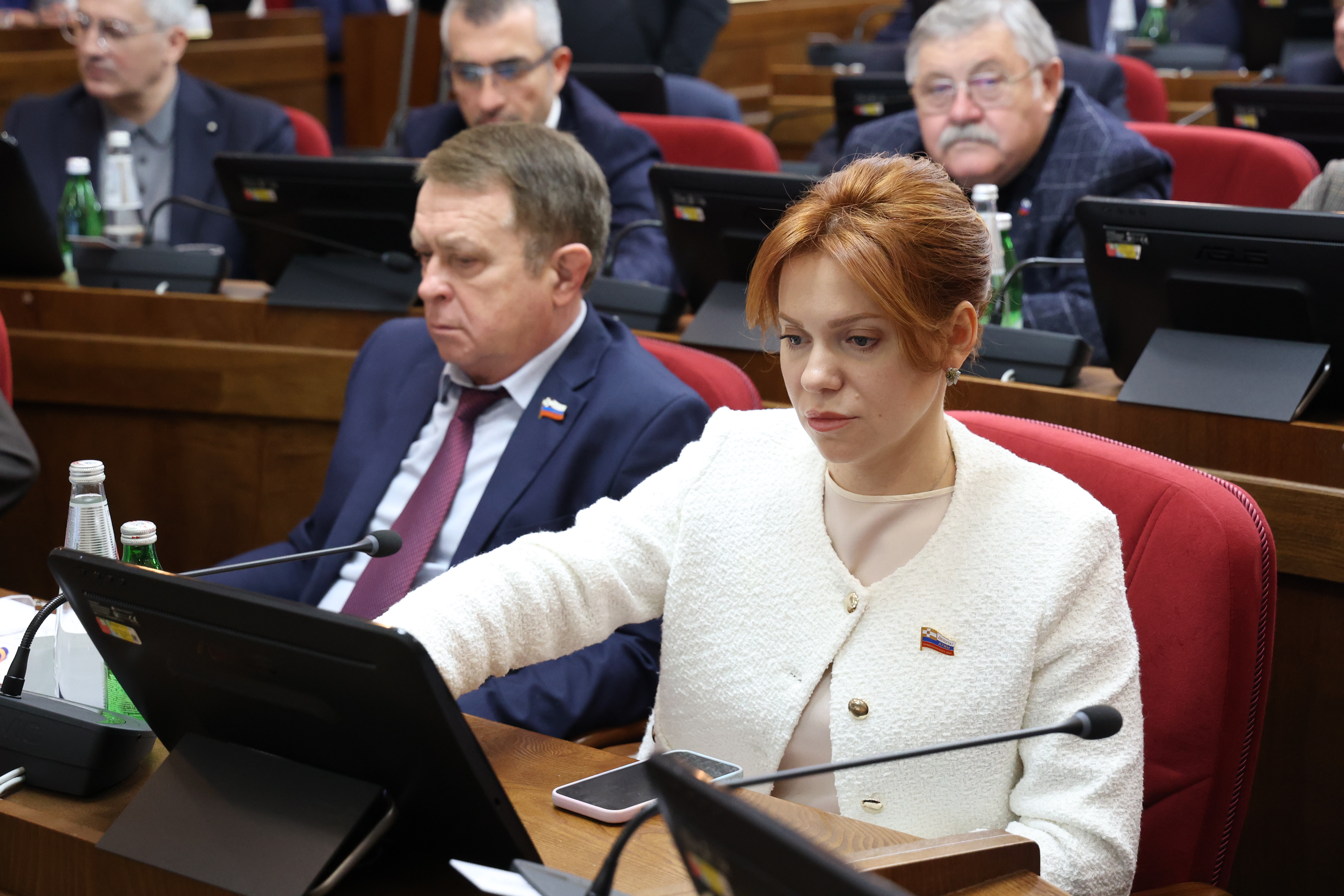 Решения ноябрьского заседания Думы Ставропольского края