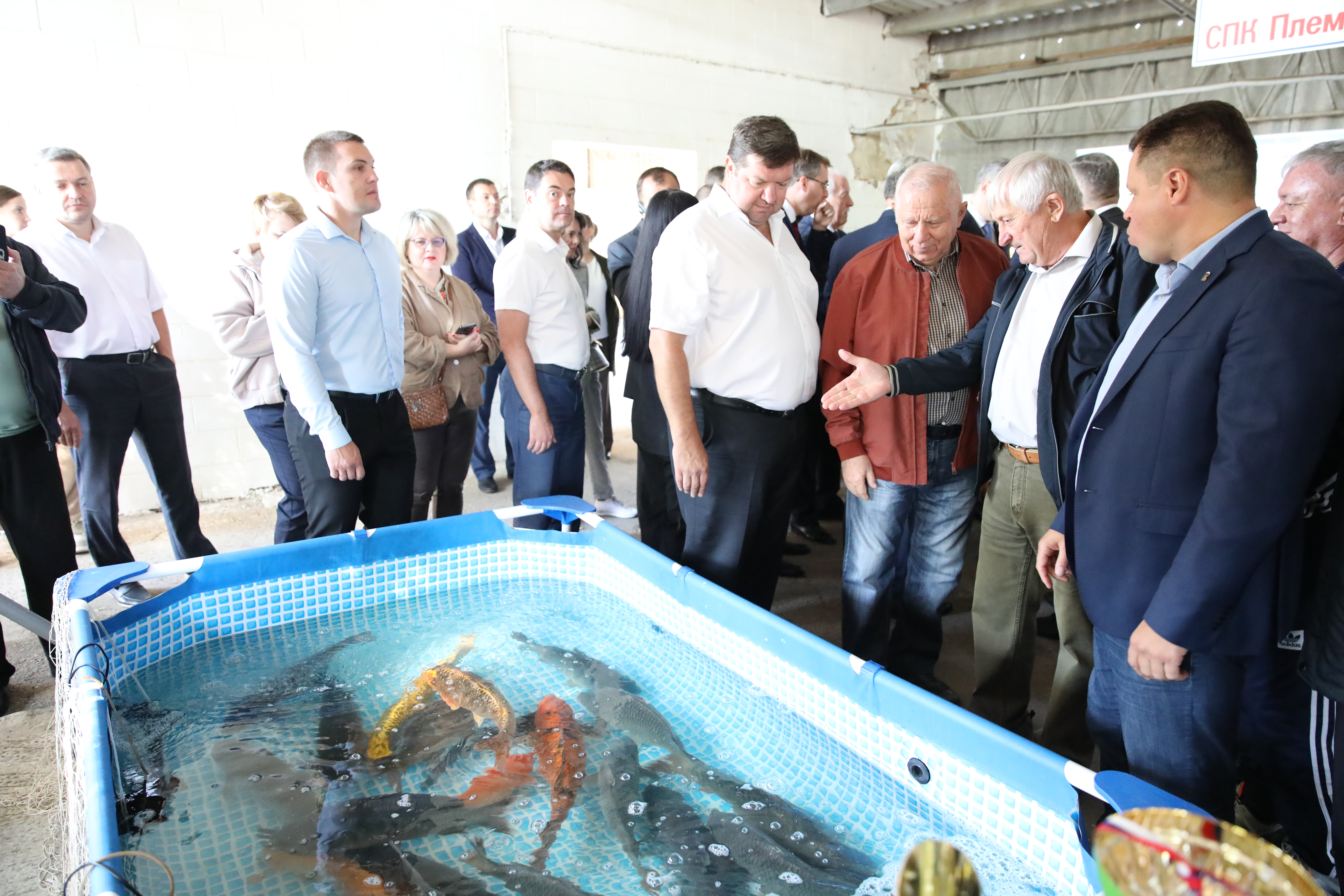 На Ставрополье встретили День края