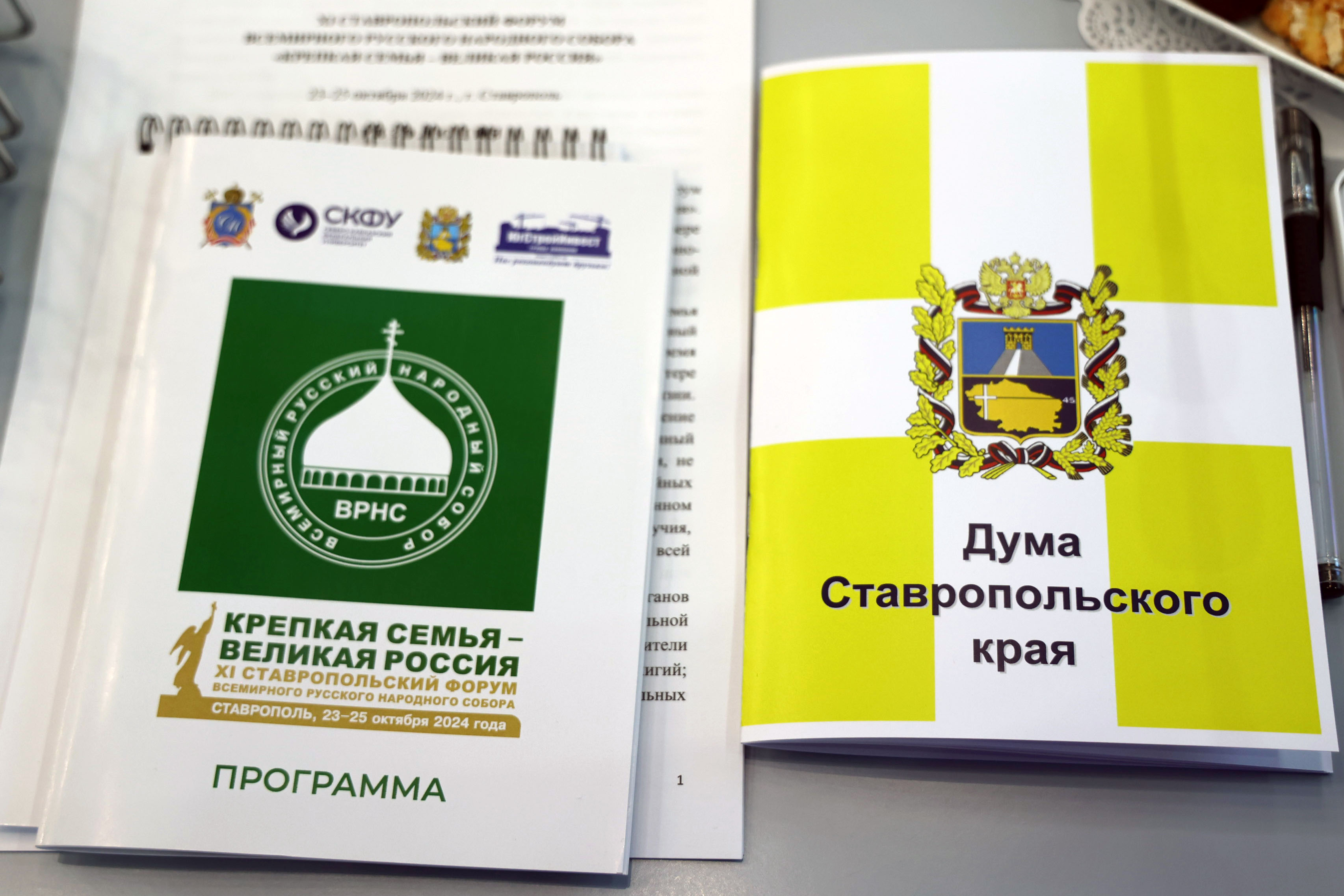 Николай Великдань провел секцию по государственной поддержке семей в рамках Всемирного Русского Народного Собора