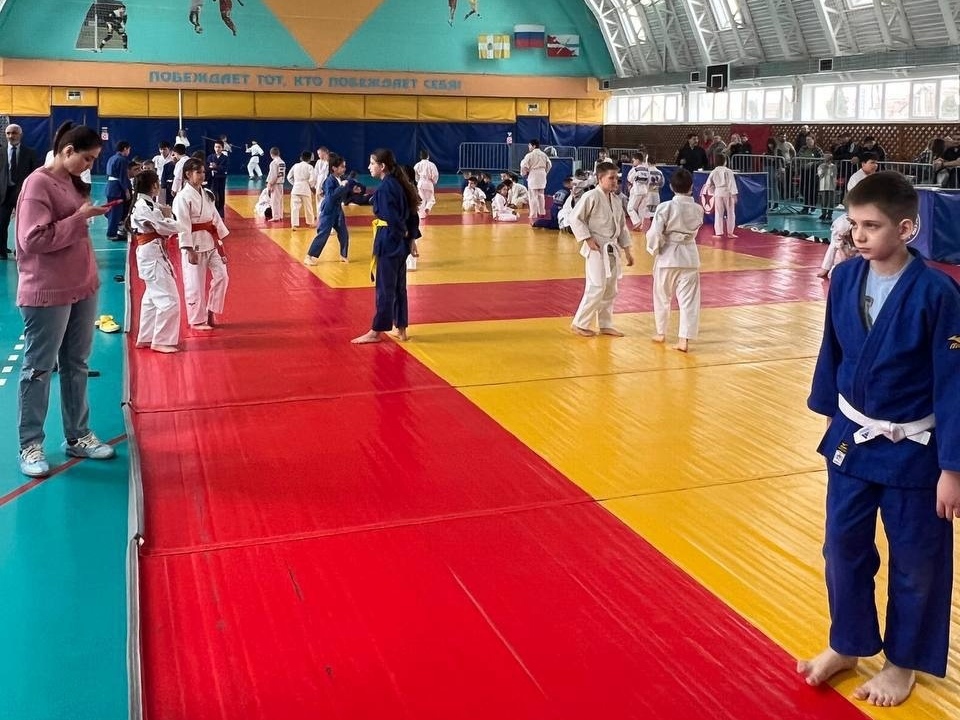В муниципальном округе прошло первенство по дзюдо на кубок депутата Думы Ставропольского края Дмитрия Шуваева