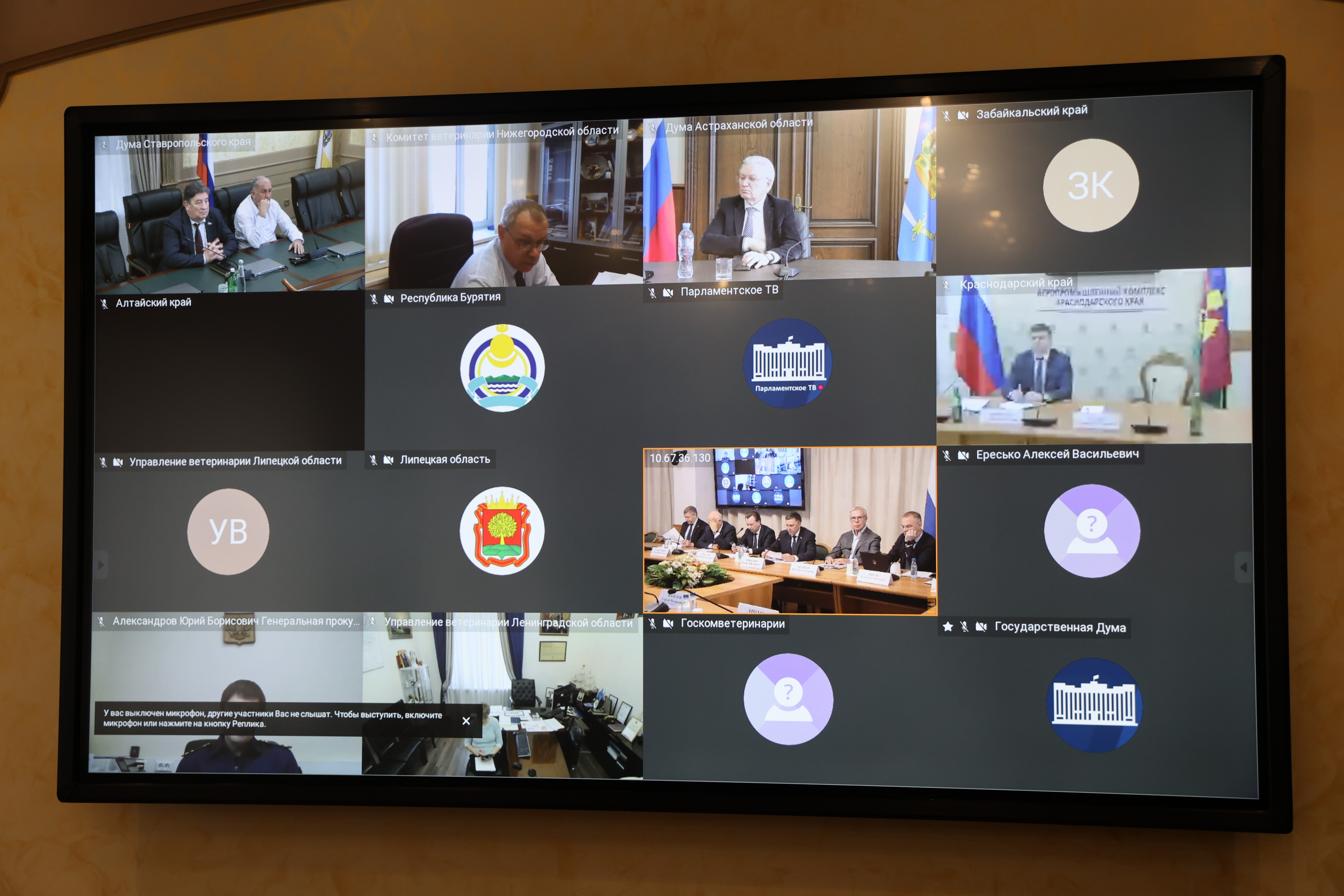 Федеральные депутаты направят обращения к председателю Правительства РФ по вопросу обращения с бездомными животными
