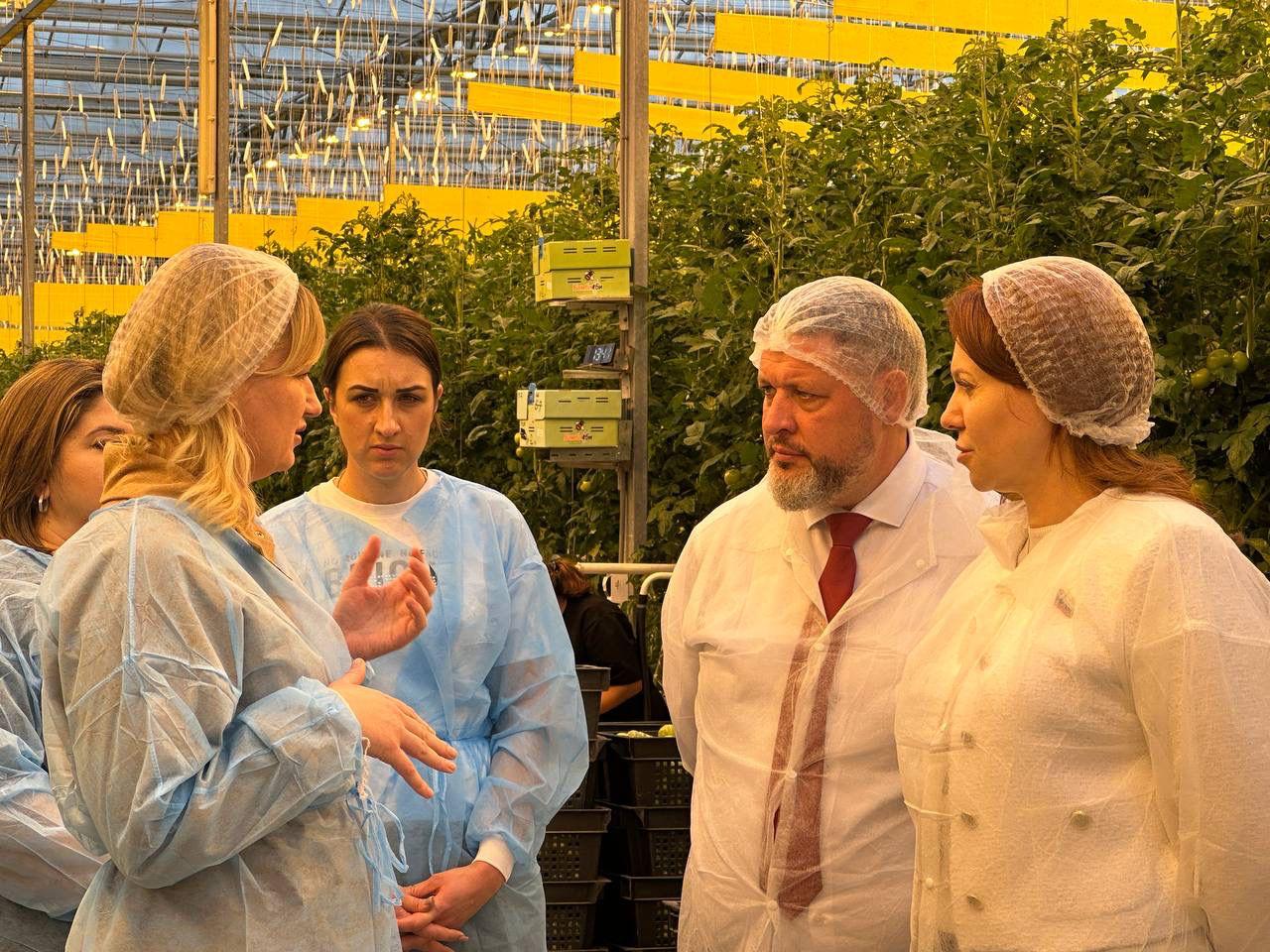 Вице-спикер Думы ознакомилась с работой крупного тепличного комплекса в Кировском округе