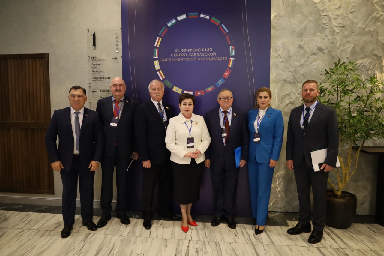 Делегация краевых депутатов представила инициативы Ставрополья на заседаниях профильных комитетов СКПА