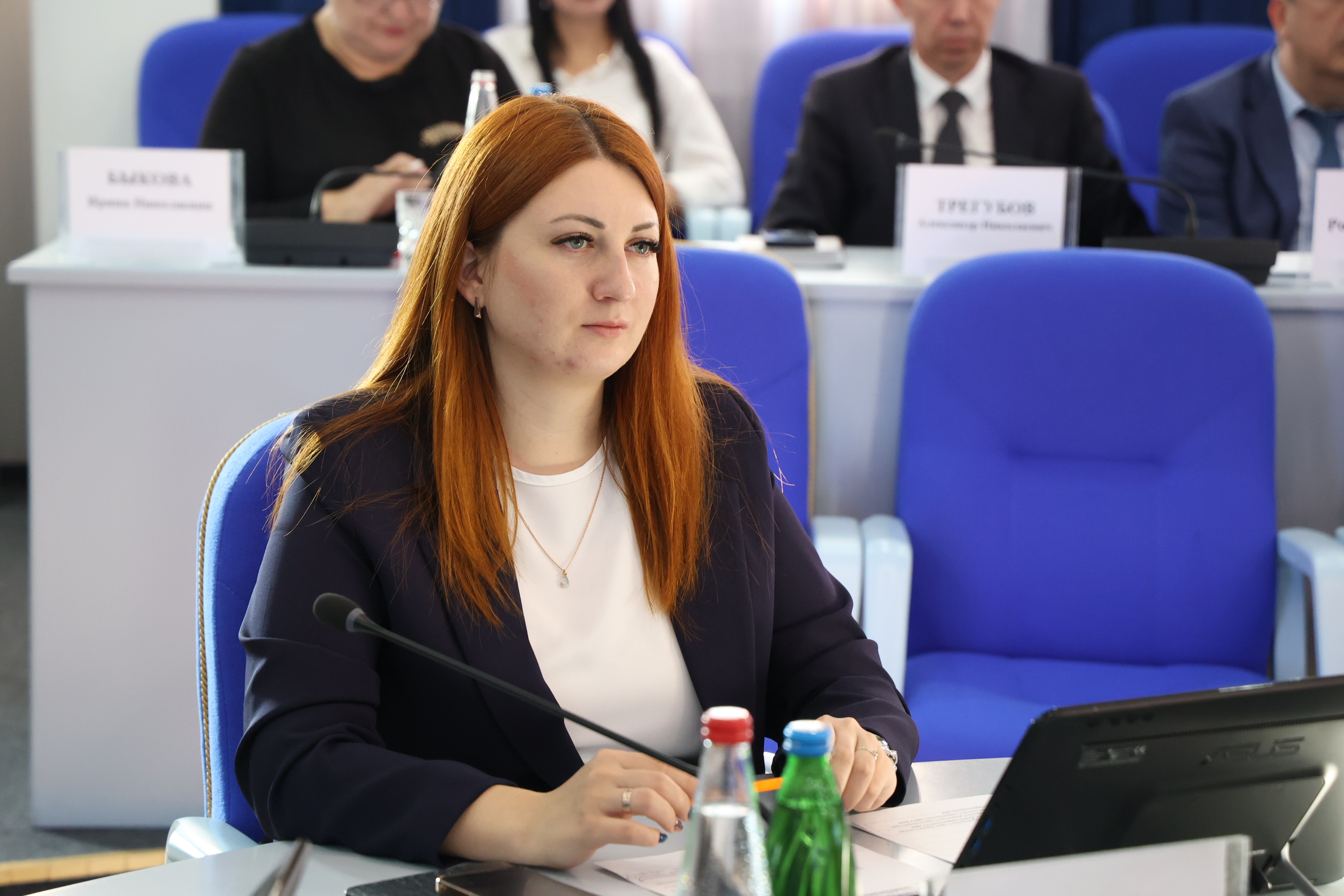 Профильный комитет Думы края рассмотрел ключевые направления инвестиционной и туристической политики на 2026 год