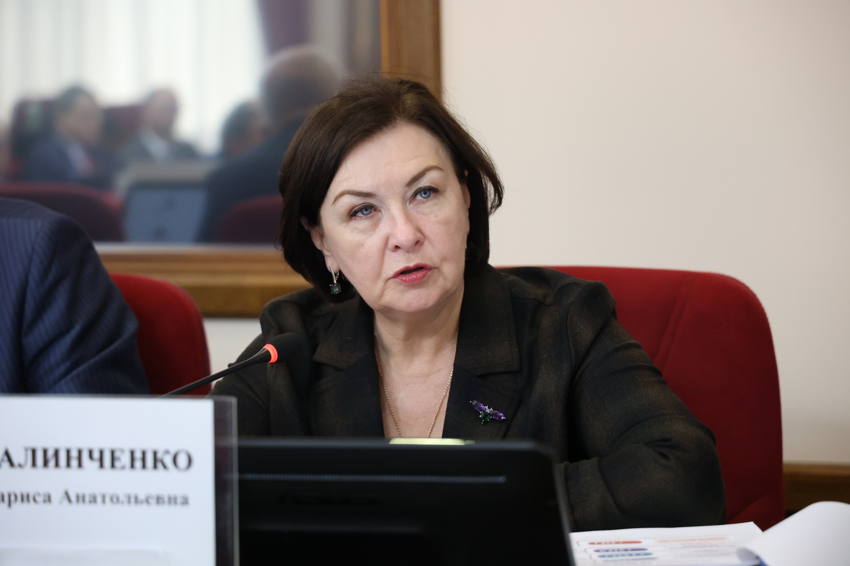 Депутаты рекомендовали к утверждению схему одномандатных избирательных округов и рассмотрели проект бюджета на 2026 год