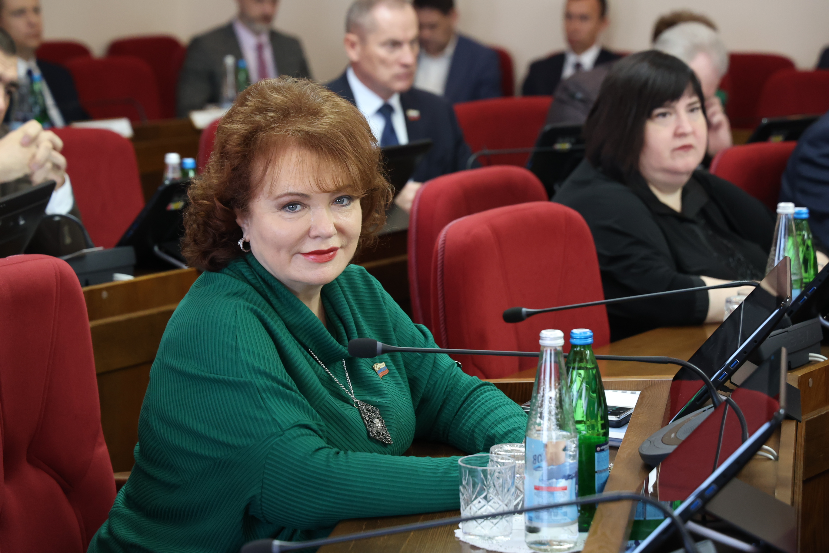 Законодательные решения декабрьского заседания Думы Ставропольского края